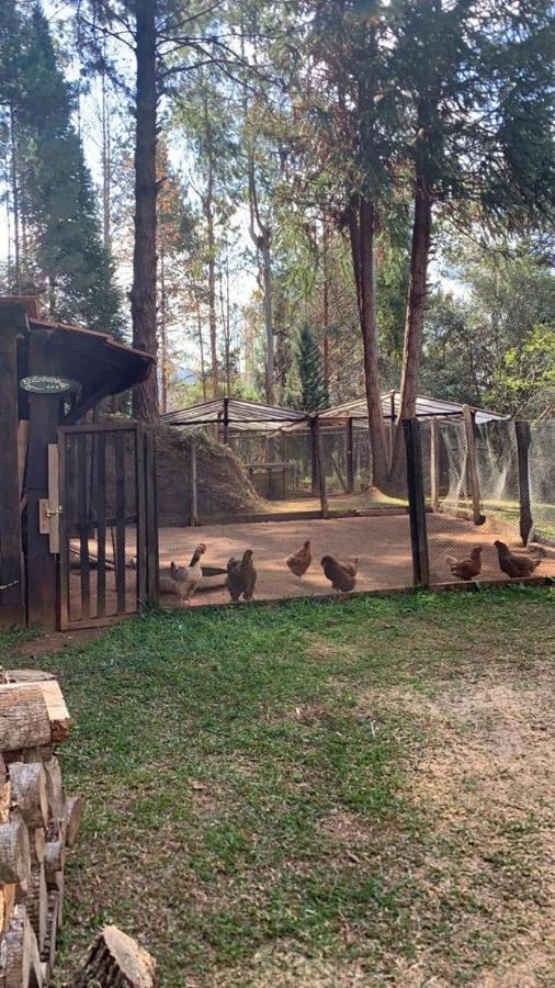 Chale De Luxo Pertinho De Monte Verde Monte Verde  Ngoại thất bức ảnh